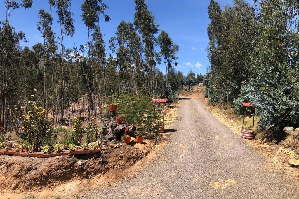 איסה Cabana Buenavista Es Un Lugar Para Descansar. מראה חיצוני תמונה